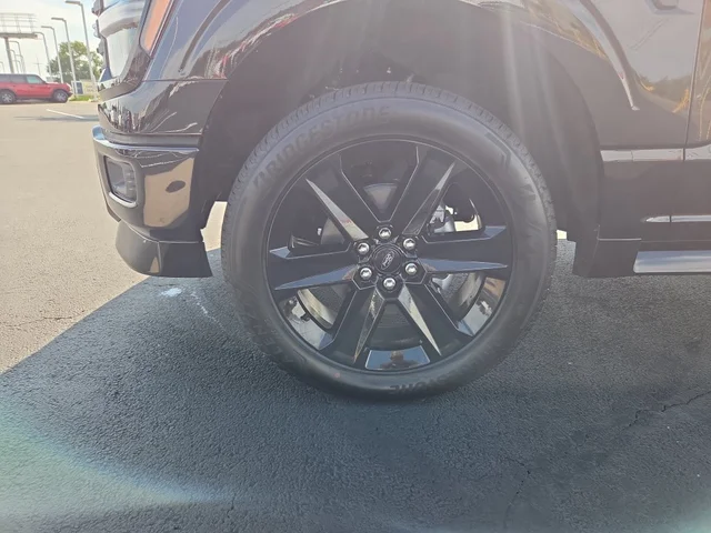 Nuevos FORD F-150 à Estados chez autogozo