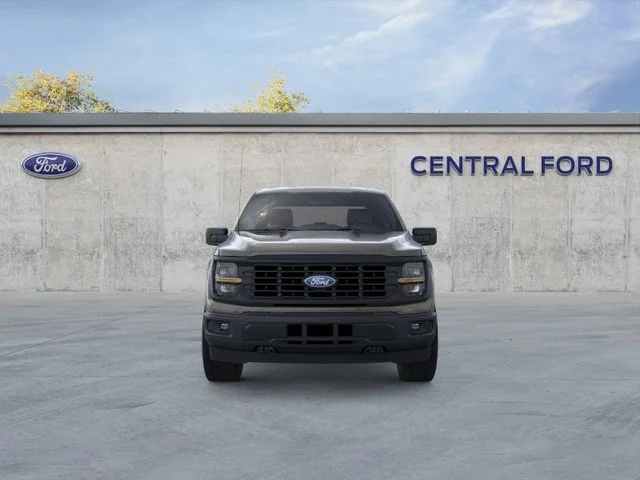 Nuevos FORD F-150 à Estados chez autogozo