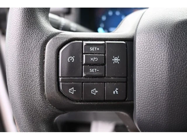 SEMINUEVOS FORD F-150 a Estados en autogozo