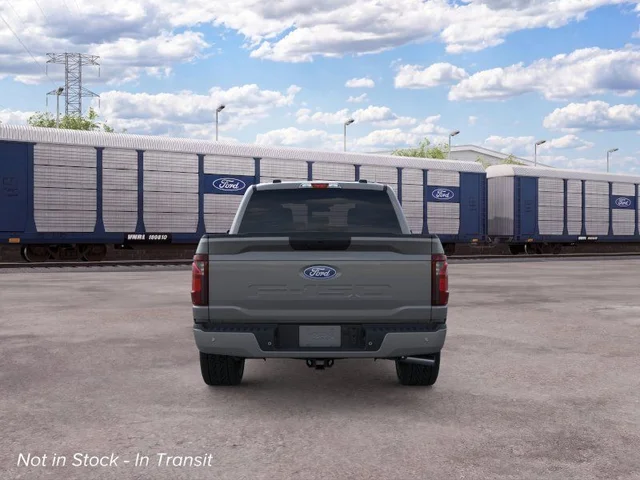 Nuevos FORD F-150 à Estados chez autogozo