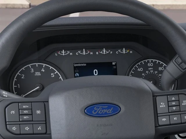 Nuevos FORD F-150 à Estados chez autogozo