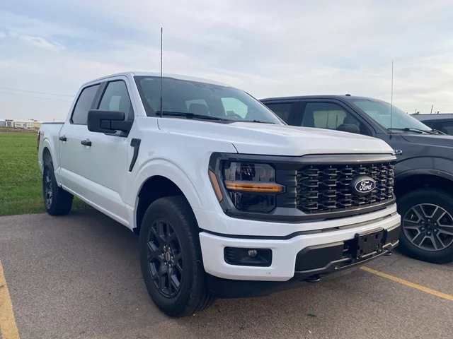 Nuevos FORD F-150 à Estados chez autogozo