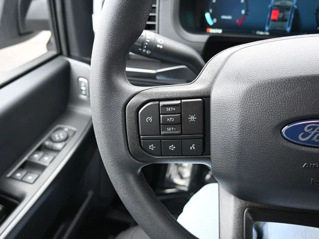 Nuevos FORD F-150 à Estados chez autogozo