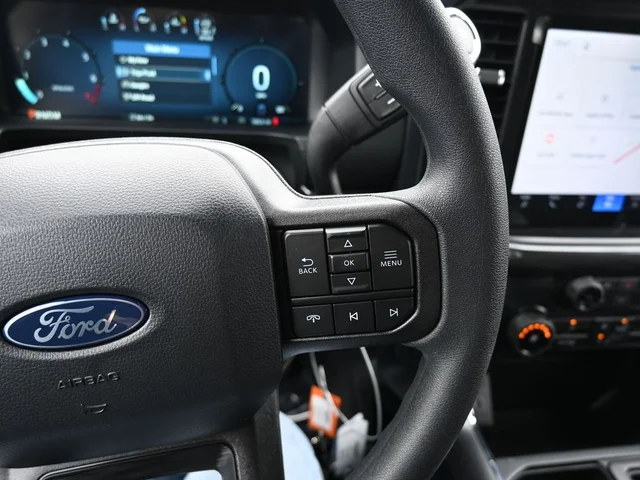 Nuevos FORD F-150 à Estados chez autogozo
