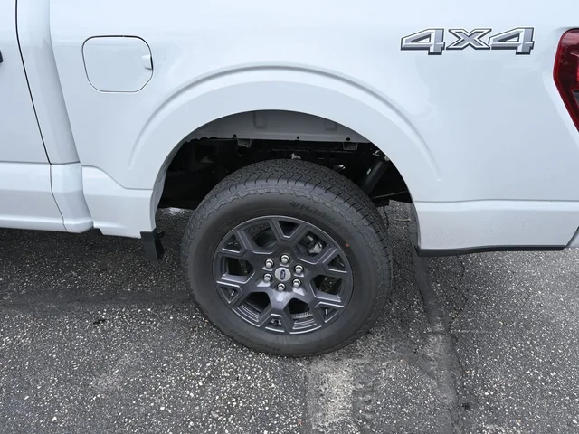 Nuevos FORD F-150 à Estados chez autogozo