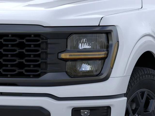 Nuevos FORD F-150 à Estados chez autogozo