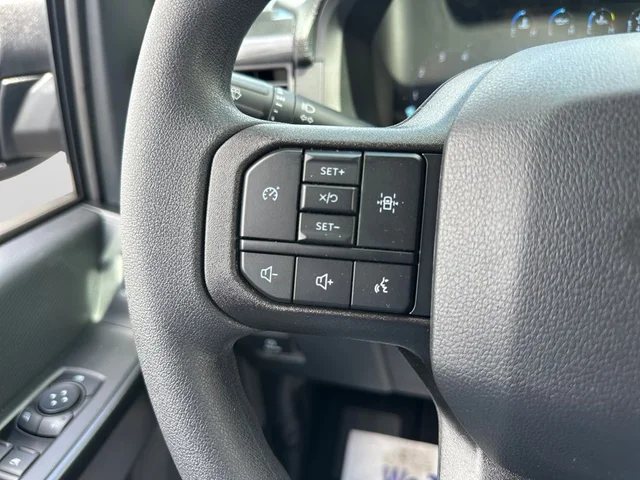 Nuevos FORD F-150 à Estados chez autogozo