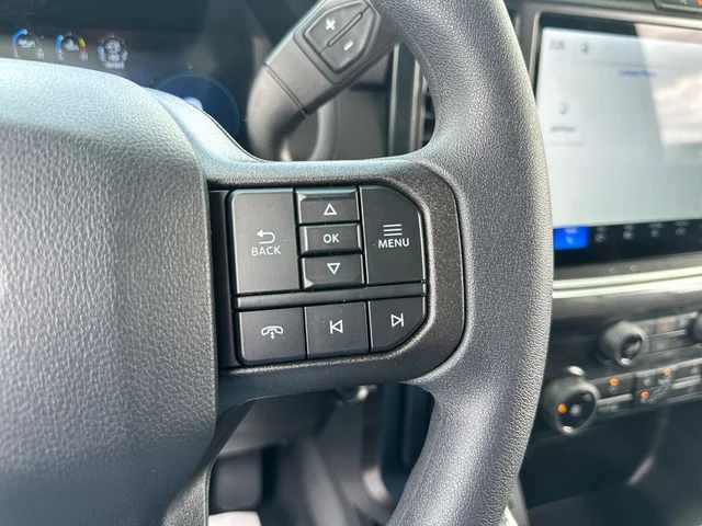Nuevos FORD F-150 à Estados chez autogozo