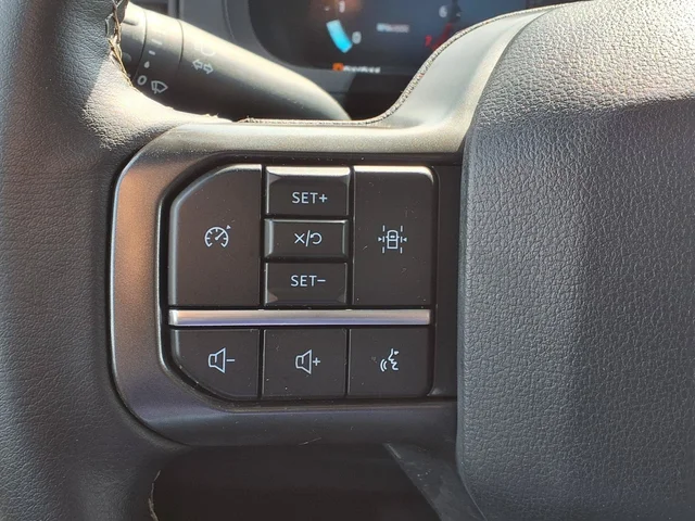 SEMINUEVOS FORD F-150 a Estados en autogozo