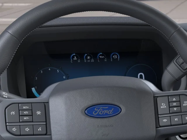 Nuevos FORD F-150 à Estados chez autogozo