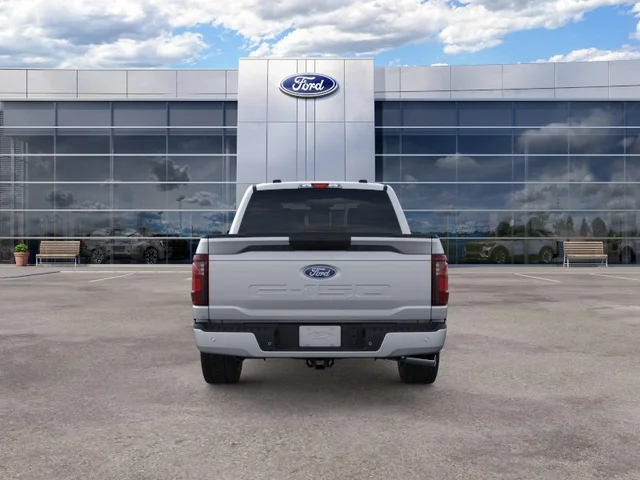 Nuevos FORD F-150 à Estados chez autogozo