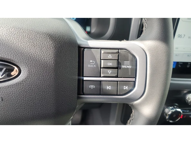 Nuevos FORD F-150 à Estados chez autogozo