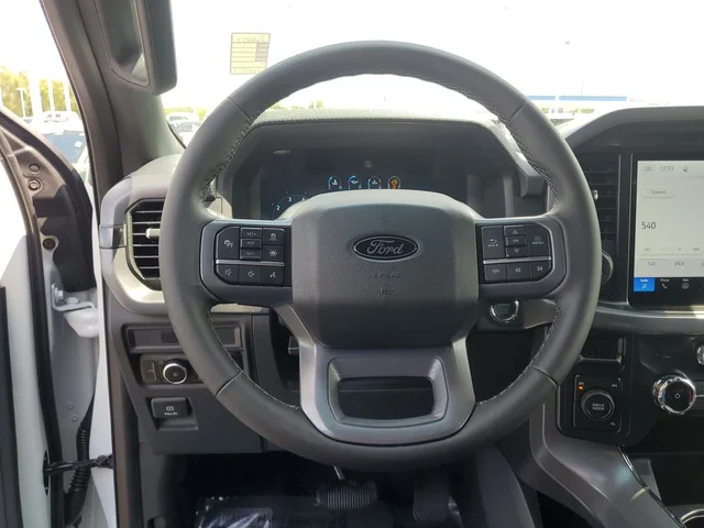 Nuevos FORD F-150 à Estados chez autogozo