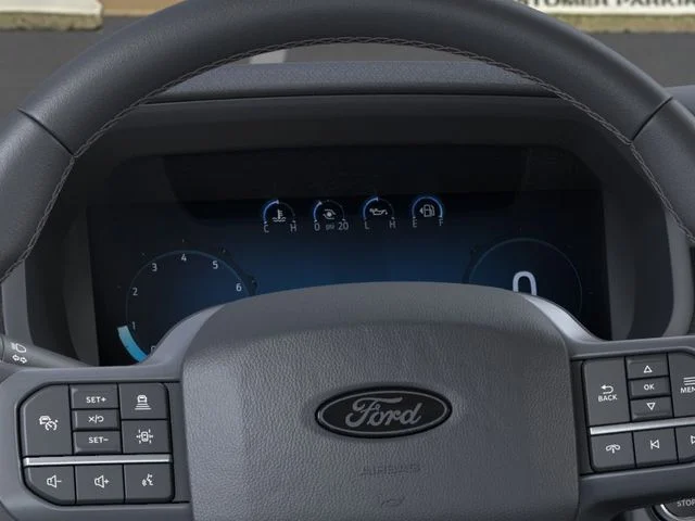 Nuevos FORD F-150 à Estados chez autogozo