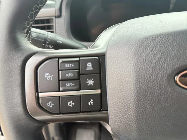SEMINUEVOS FORD F-150 a Estados en autogozo