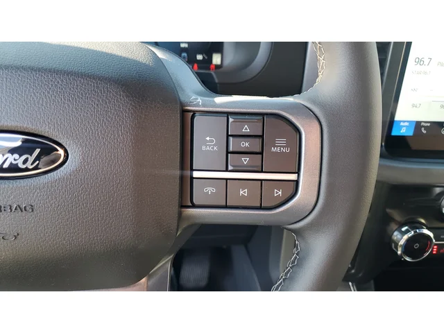 Nuevos FORD F-150 à Estados chez autogozo