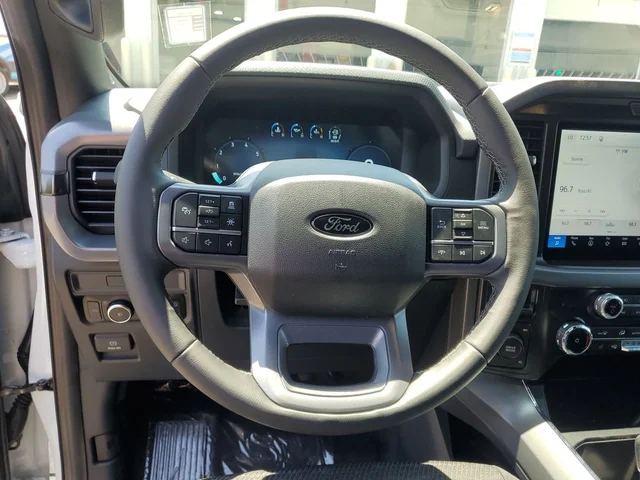 Nuevos FORD F-150 à Estados chez autogozo