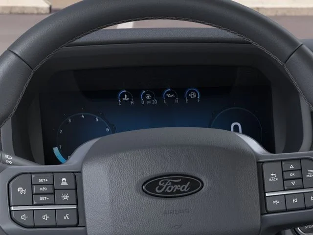 Nuevos FORD F-150 à Estados chez autogozo