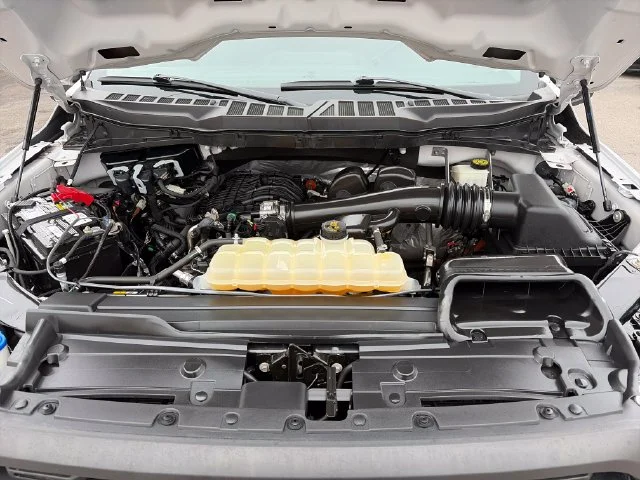 SEMINUEVOS FORD F-150 a Estados en autogozo