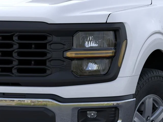 Nuevos FORD F-150 à Estados chez autogozo