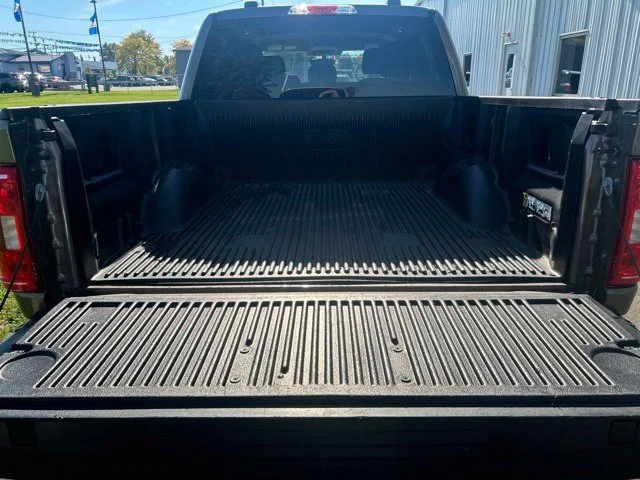 SEMINUEVOS FORD F-150 a Estados en autogozo