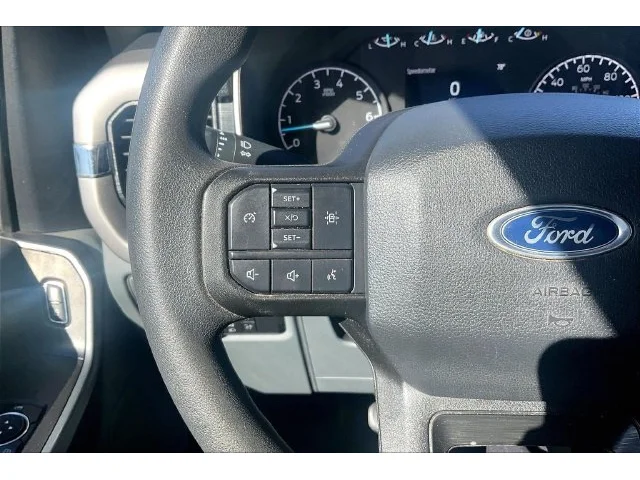SEMINUEVOS FORD F-150 a Estados en autogozo