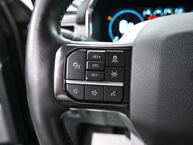 SEMINUEVOS FORD F-150 a Estados en autogozo