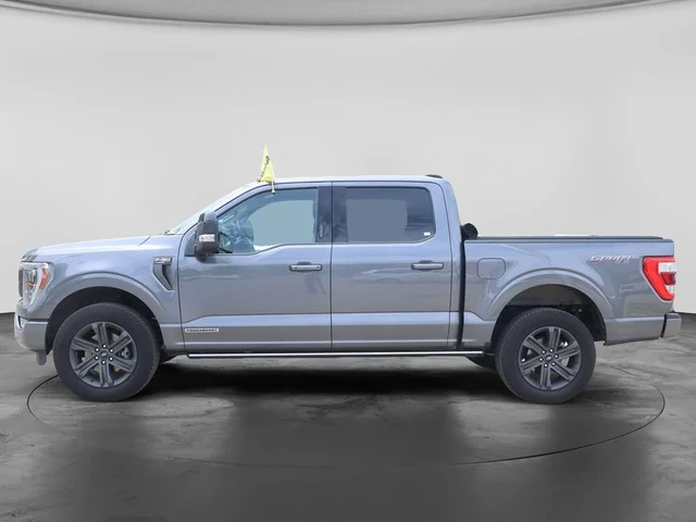 SEMINUEVOS FORD F-150 a Estados en autogozo