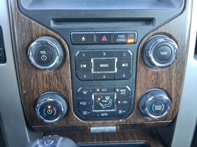 SEMINUEVOS FORD F-150 a Estados en autogozo
