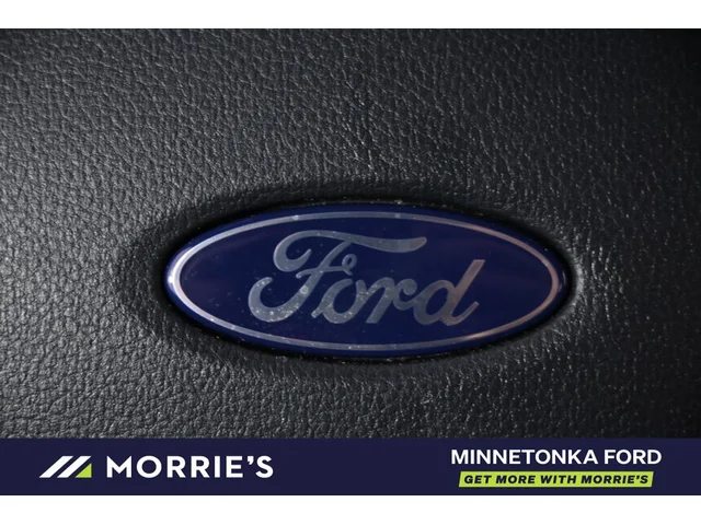 Nuevos FORD F-150 à Estados chez autogozo