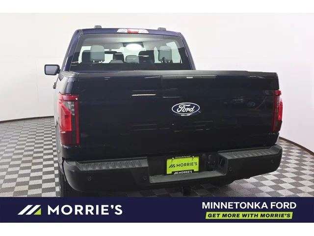 Nuevos FORD F-150 à Estados chez autogozo