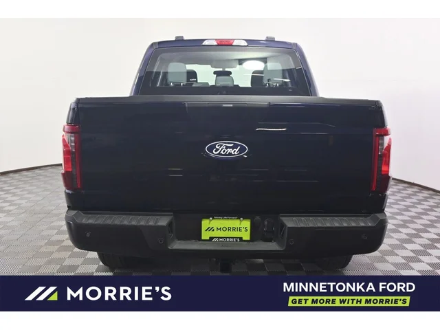 Nuevos FORD F-150 à Estados chez autogozo