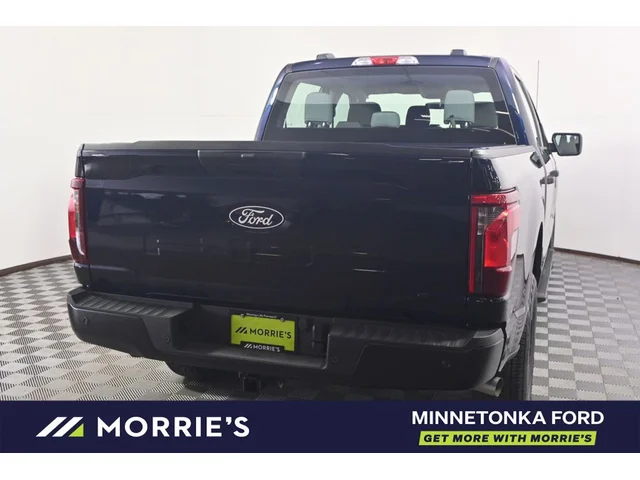 Nuevos FORD F-150 à Estados chez autogozo