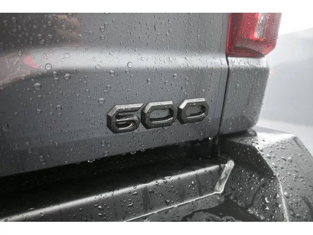 Nuevos FORD F-150 à Estados chez autogozo