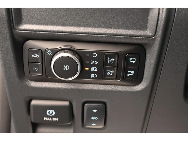 Nuevos FORD F-150 à Estados chez autogozo