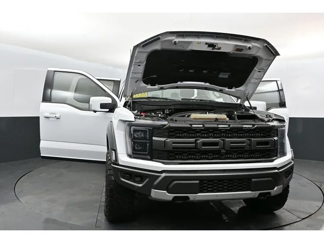 SEMINUEVOS FORD F-150 a Estados en autogozo