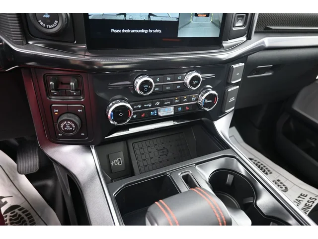Nuevos FORD F-150 à Estados chez autogozo