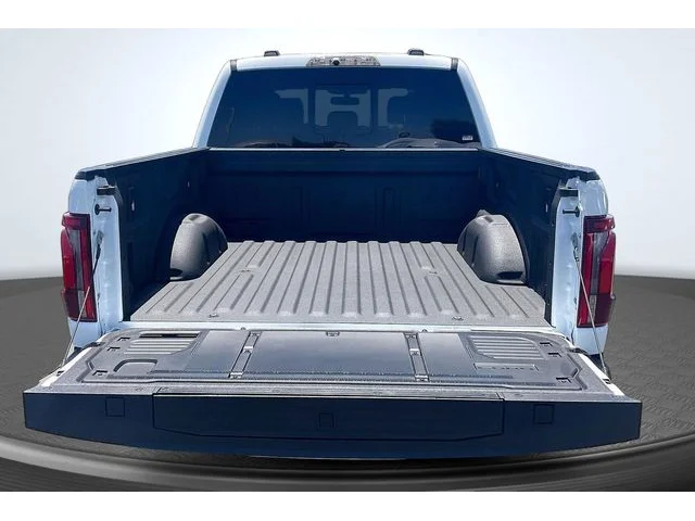 SEMINUEVOS FORD F-150 a Estados en autogozo