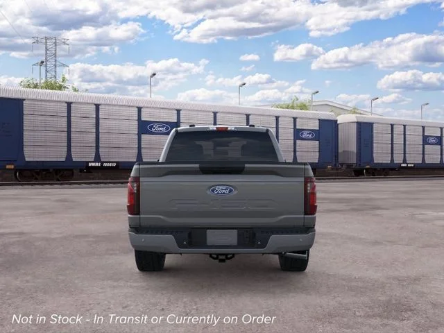 Nuevos FORD F-150 à Estados chez autogozo