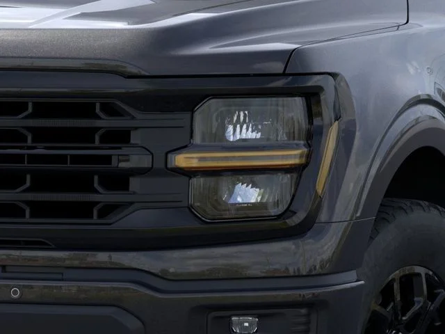 Nuevos FORD F-150 à Estados chez autogozo