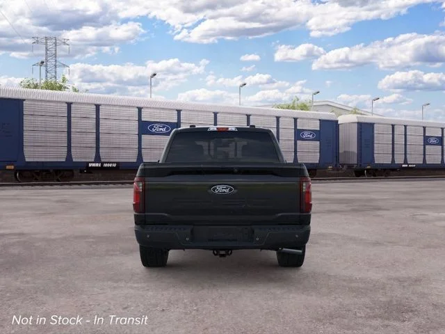 Nuevos FORD F-150 à Estados chez autogozo