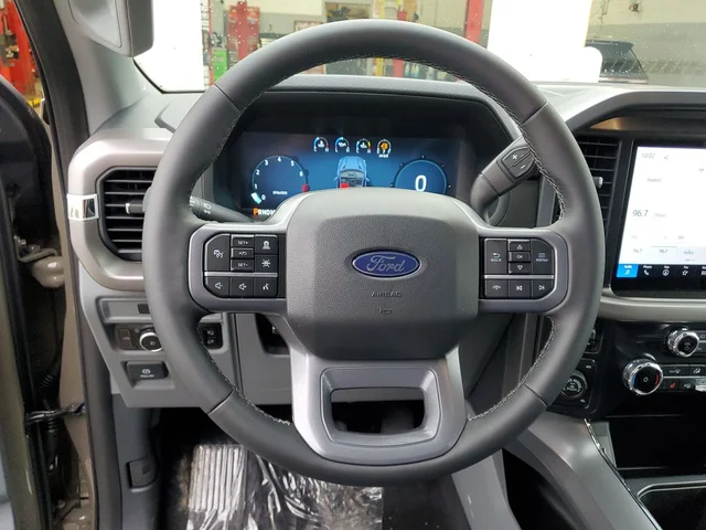 Nuevos FORD F-150 à Estados chez autogozo