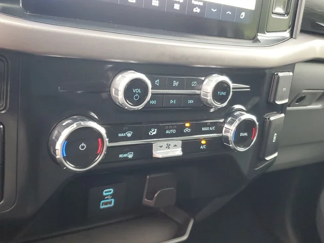 SEMINUEVOS FORD F-150 a Estados en autogozo