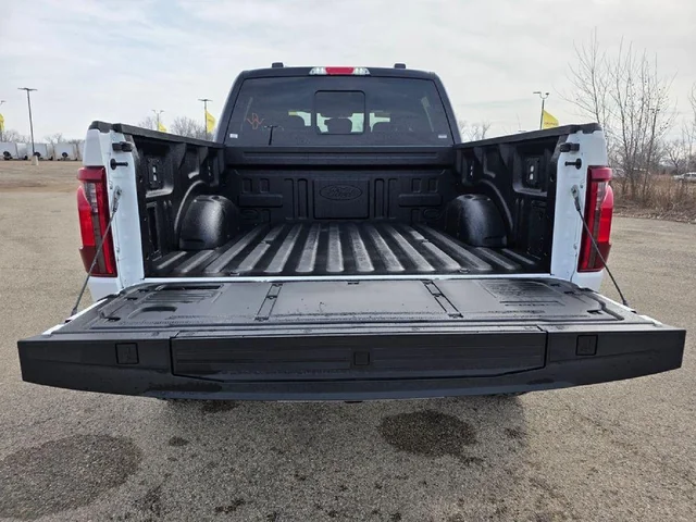 Nuevos FORD F-150 à Estados chez autogozo