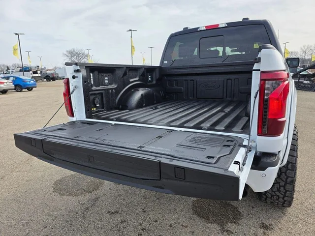 Nuevos FORD F-150 à Estados chez autogozo