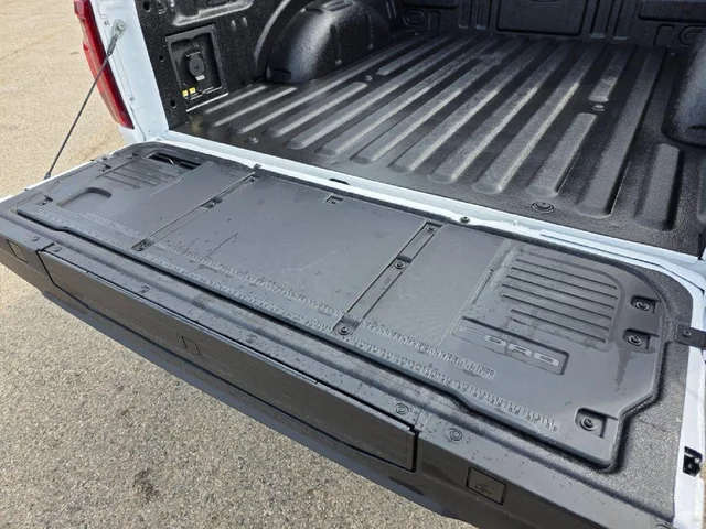 Nuevos FORD F-150 à Estados chez autogozo