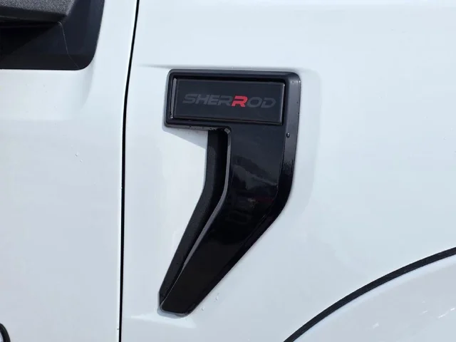 Nuevos FORD F-150 à Estados chez autogozo