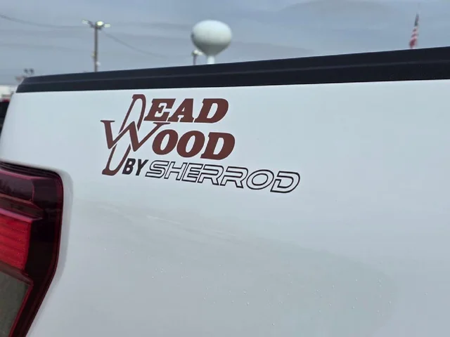 Nuevos FORD F-150 à Estados chez autogozo