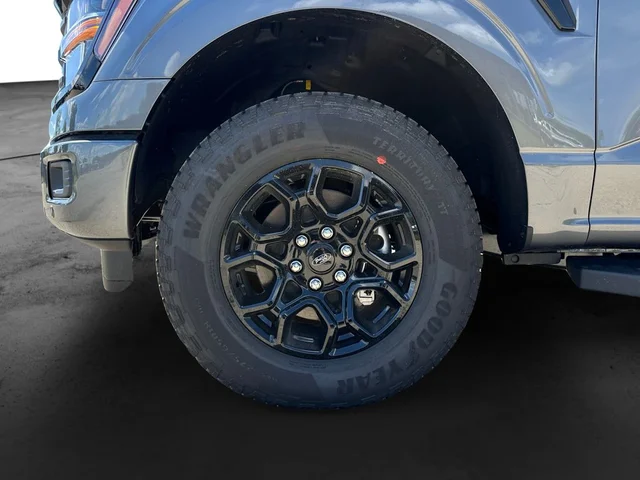 Nuevos FORD F-150 à Estados chez autogozo
