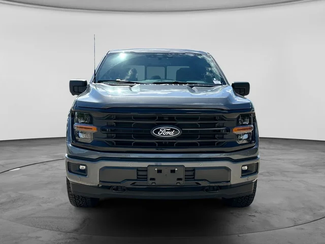 Nuevos FORD F-150 à Estados chez autogozo
